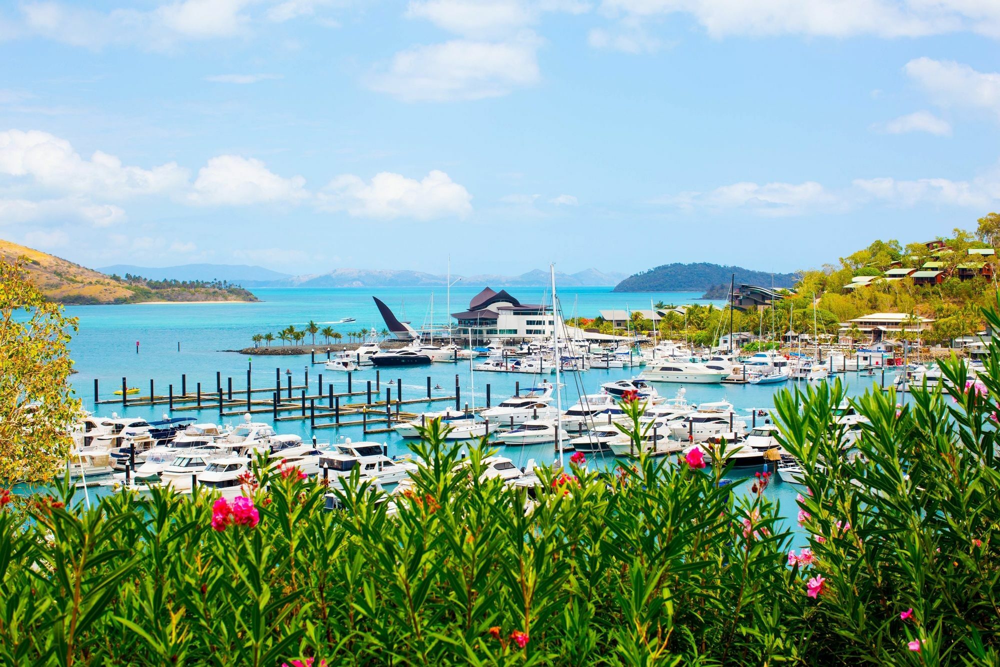 Palm Bungalows Hamilton Island Exterior photo