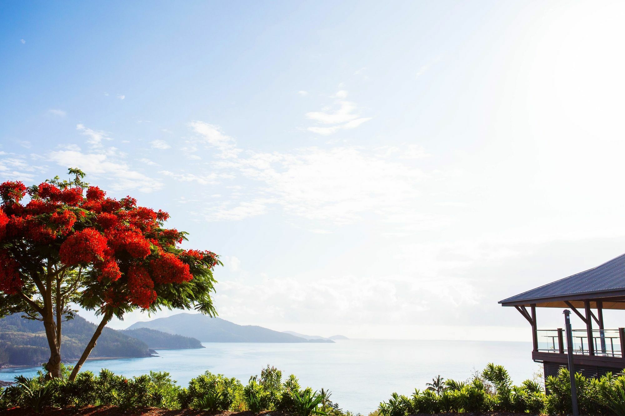 Palm Bungalows Hamilton Island Exterior photo