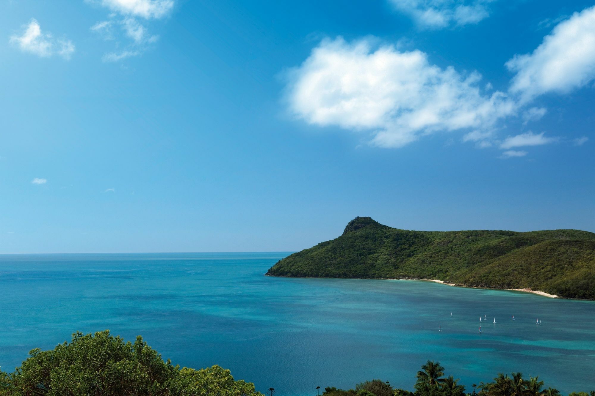 Palm Bungalows Hamilton Island Exterior photo