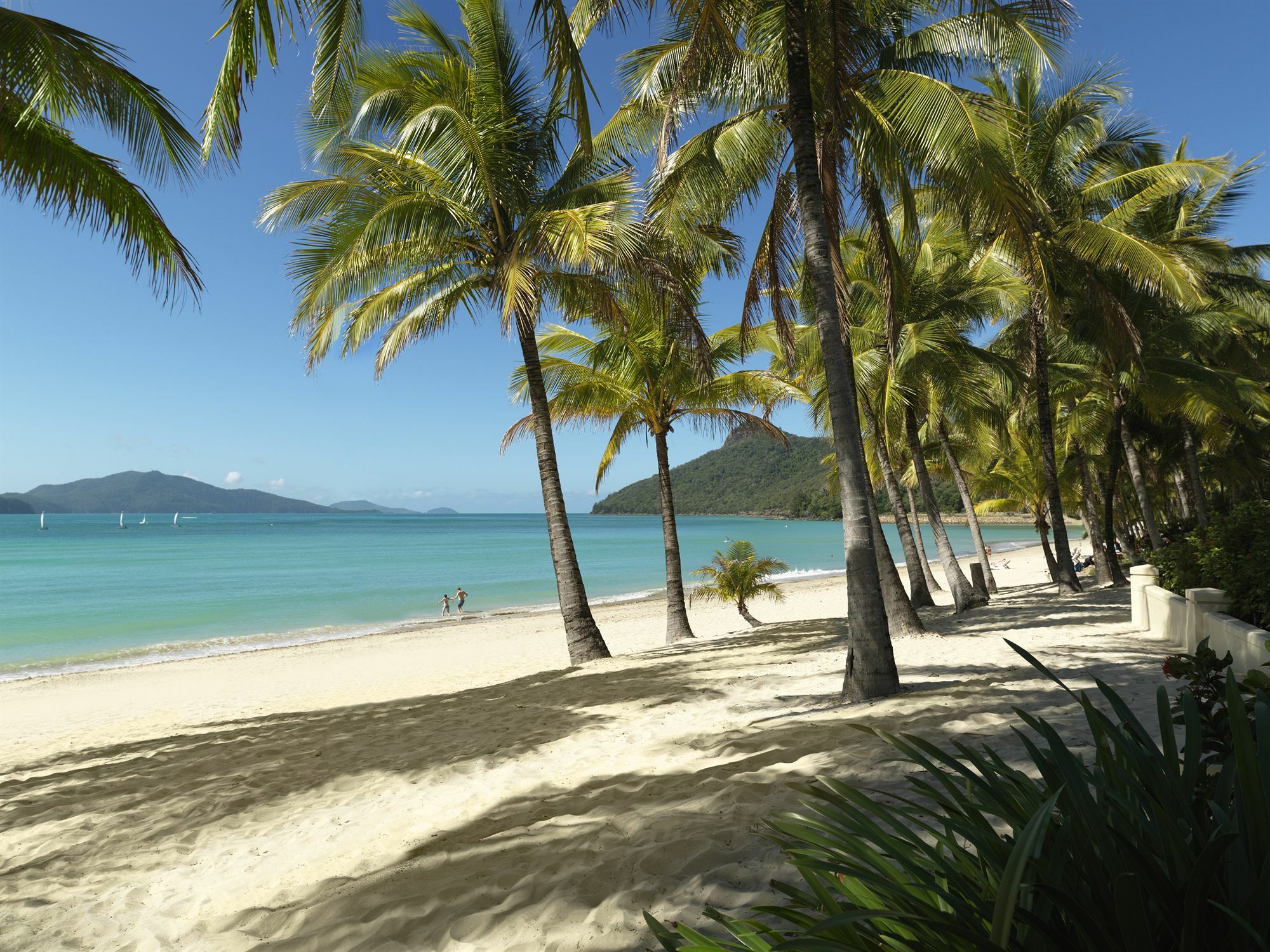 Palm Bungalows Hamilton Island Exterior photo